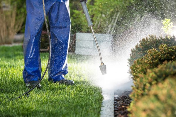 Cost of Curb Cleaning in Clifton Park
