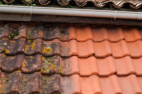 Industrial Roof Cleaning in Clifton Park