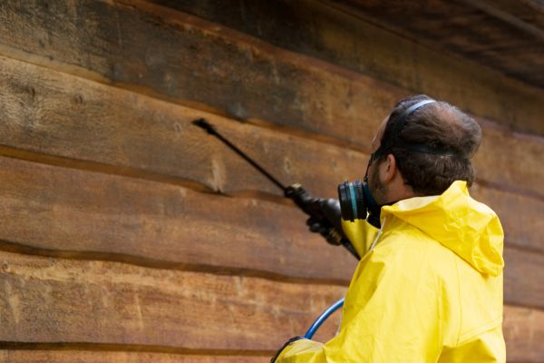 Cost of Cedar Siding Washing in Clifton Park